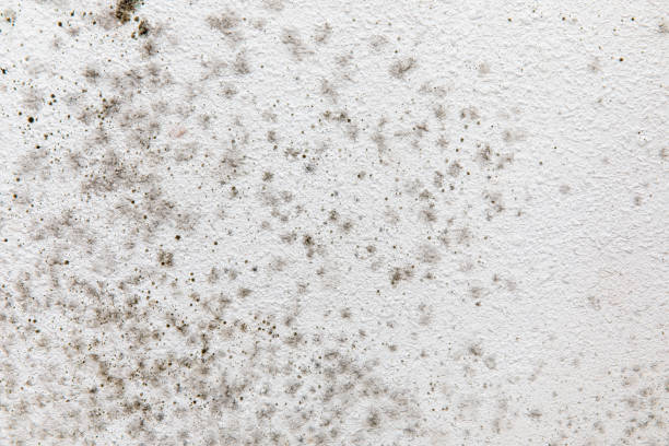 Best Indoor Air Quality Assessment  in Bayard, NE